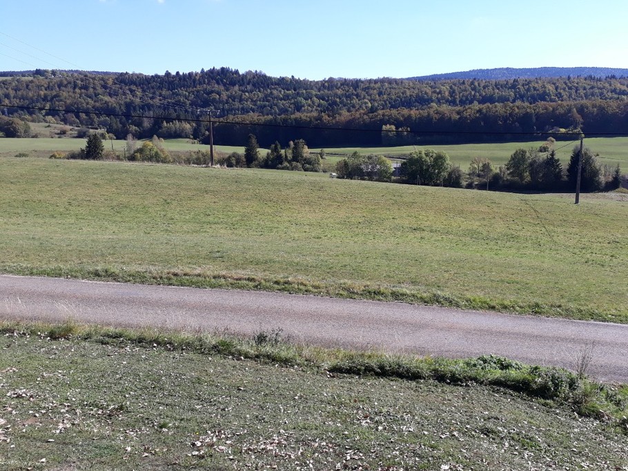 La vue panoramique