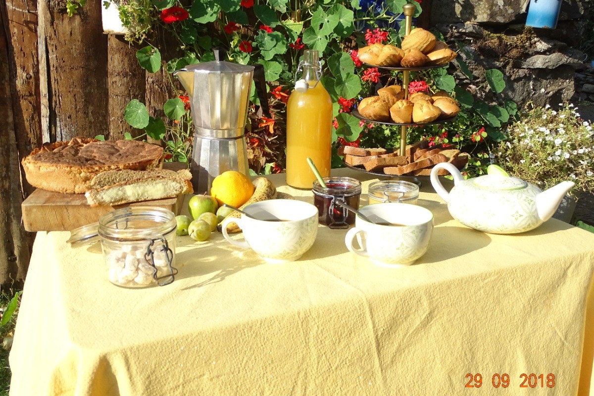 Petit déjeuner : pain, beurre , gâteaux , café , thé , fruits , fromages...
