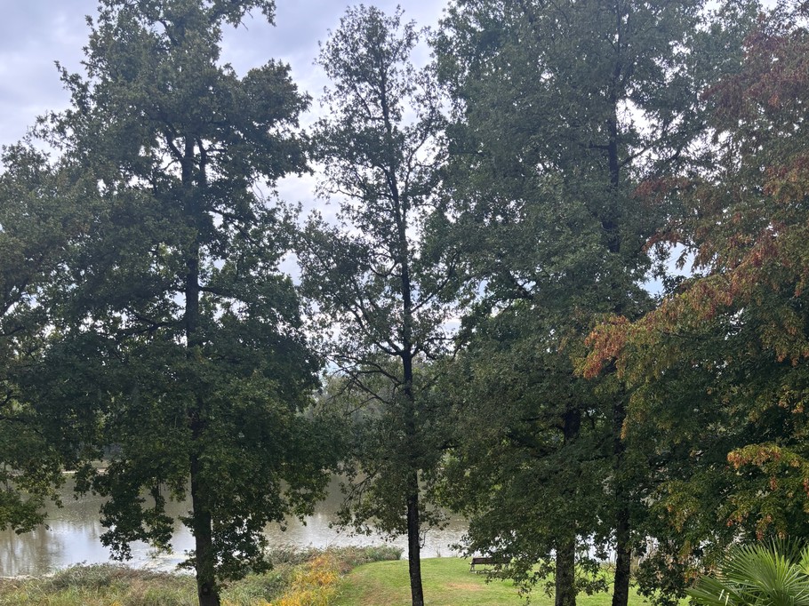 Photo n° 17 of the location