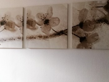 Photo n° 9 de la location