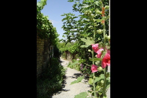 Photo n° 2 of the location