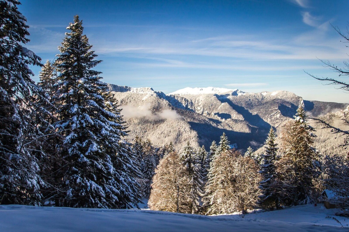 Vue des cabanes Chartreuse insolite