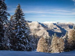 Vue des cabanes Chartreuse insolite