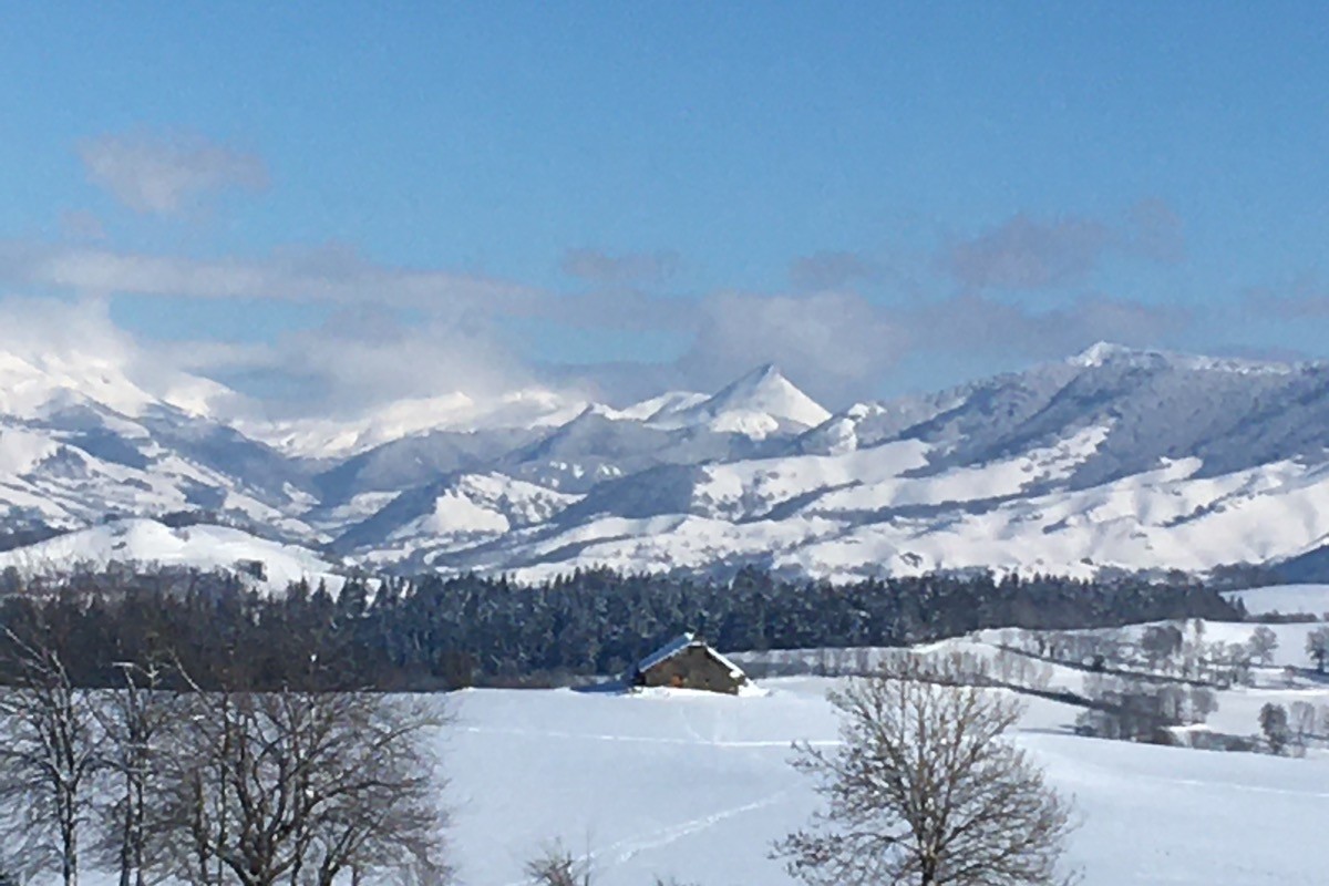 les monts du Cantal sous la neige