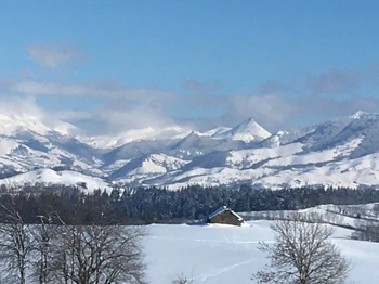 les monts du Cantal sous la neige