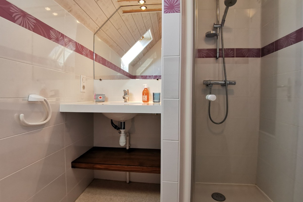 Salle d'eau à l'étage, wc au rdc