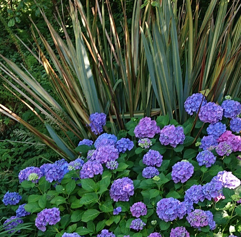 Photo n° 13 of the location