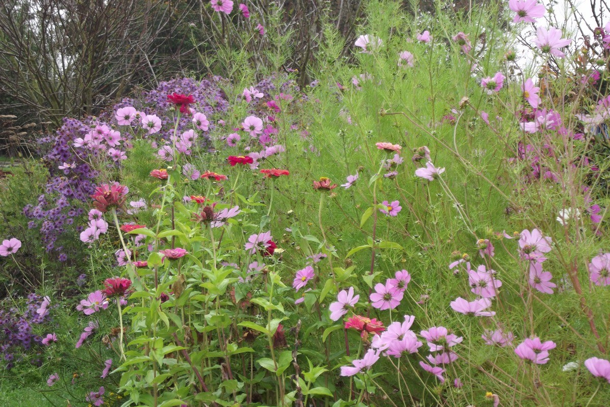 Jardin
