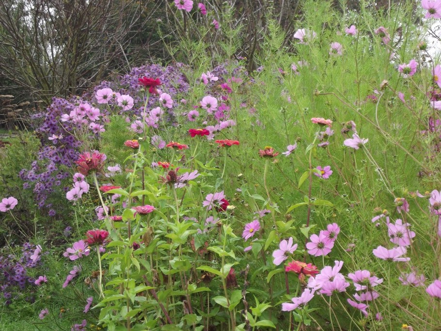 Jardin