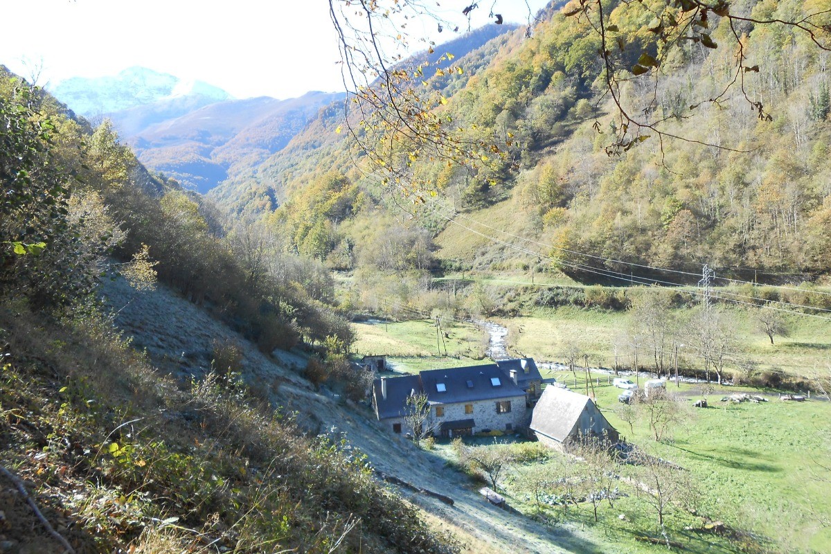 Vue du domaine en automne