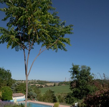 Vue dégagée vers le château de Castelnau de Lévis