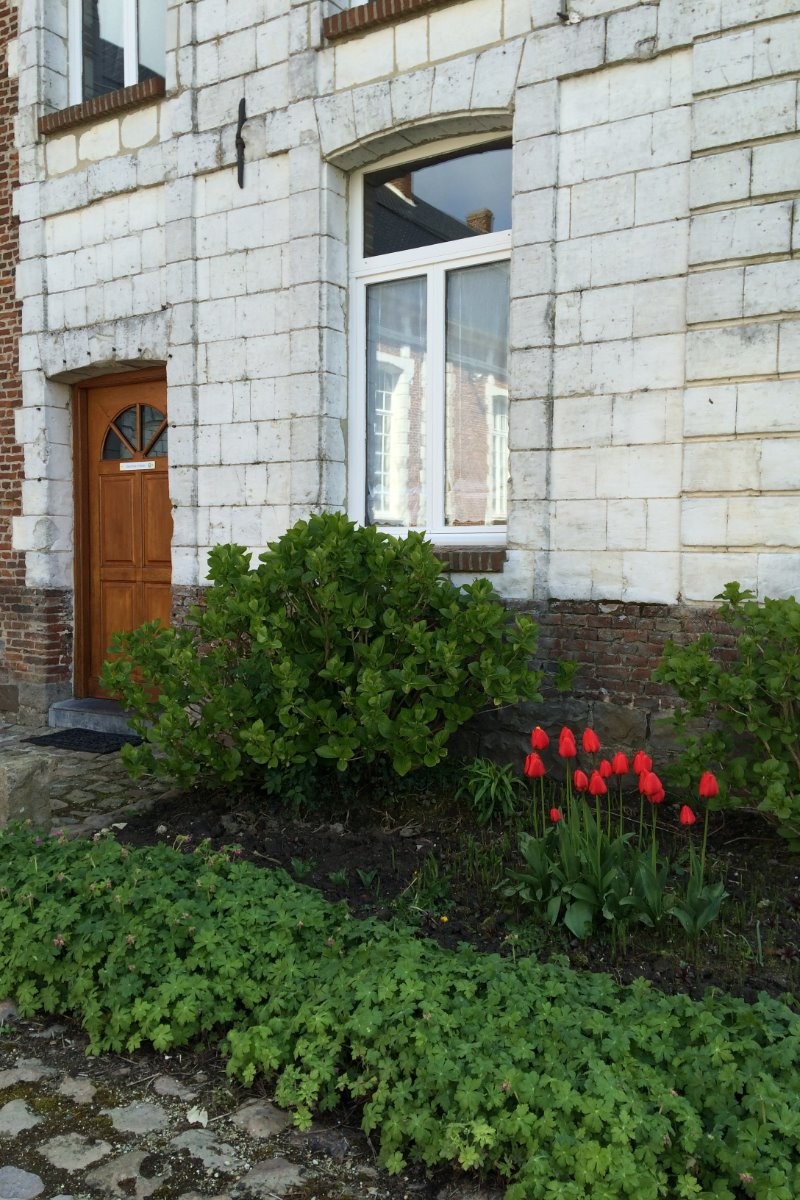 Photo n° 2 of the location