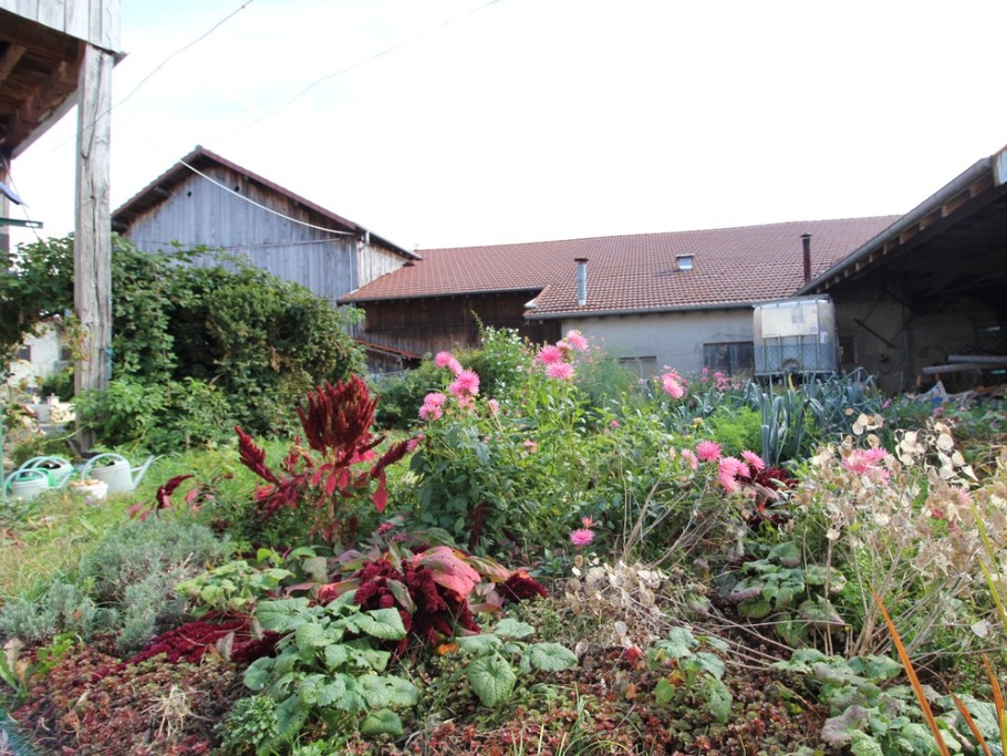 Vue depuis la terrasse - Appartement Granges-Aumontzey