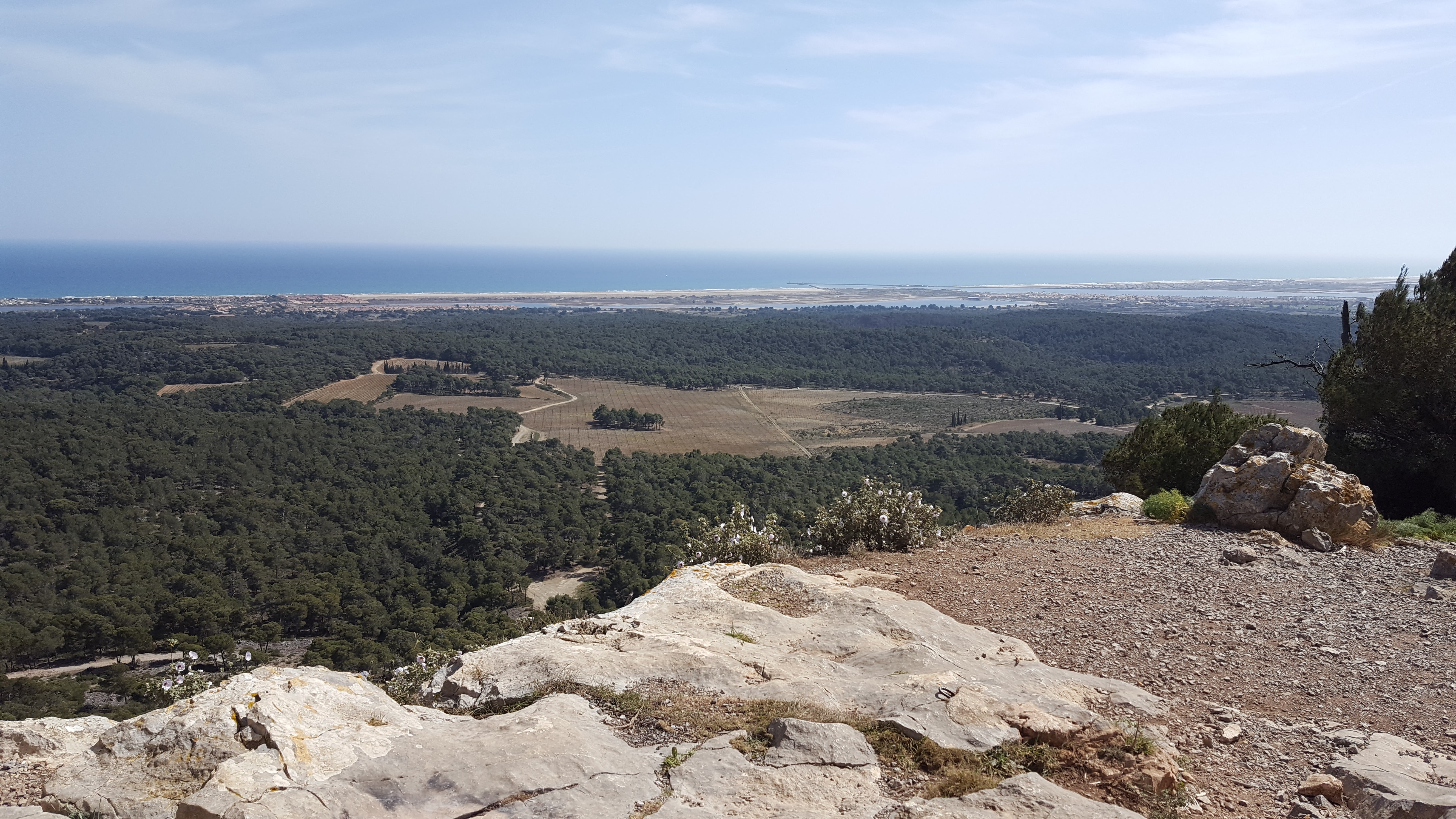 Photo n° 20 de la location