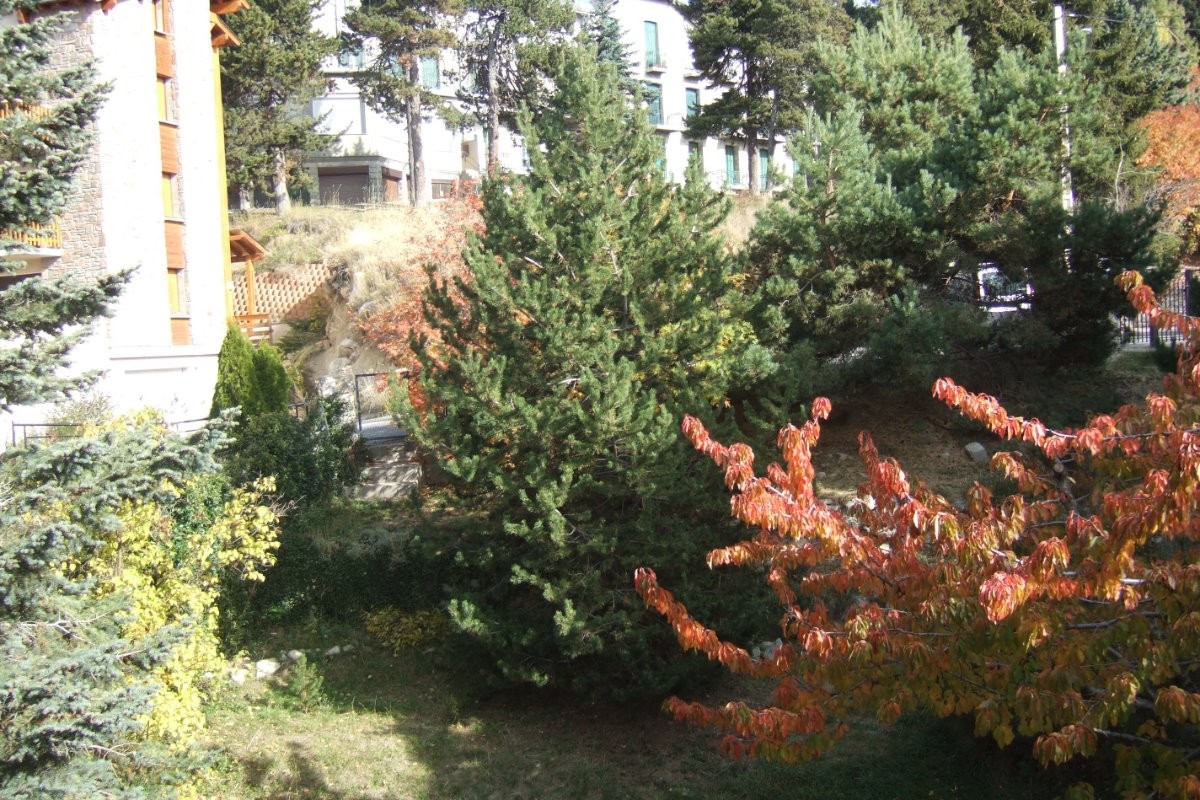 Vue sur jardin