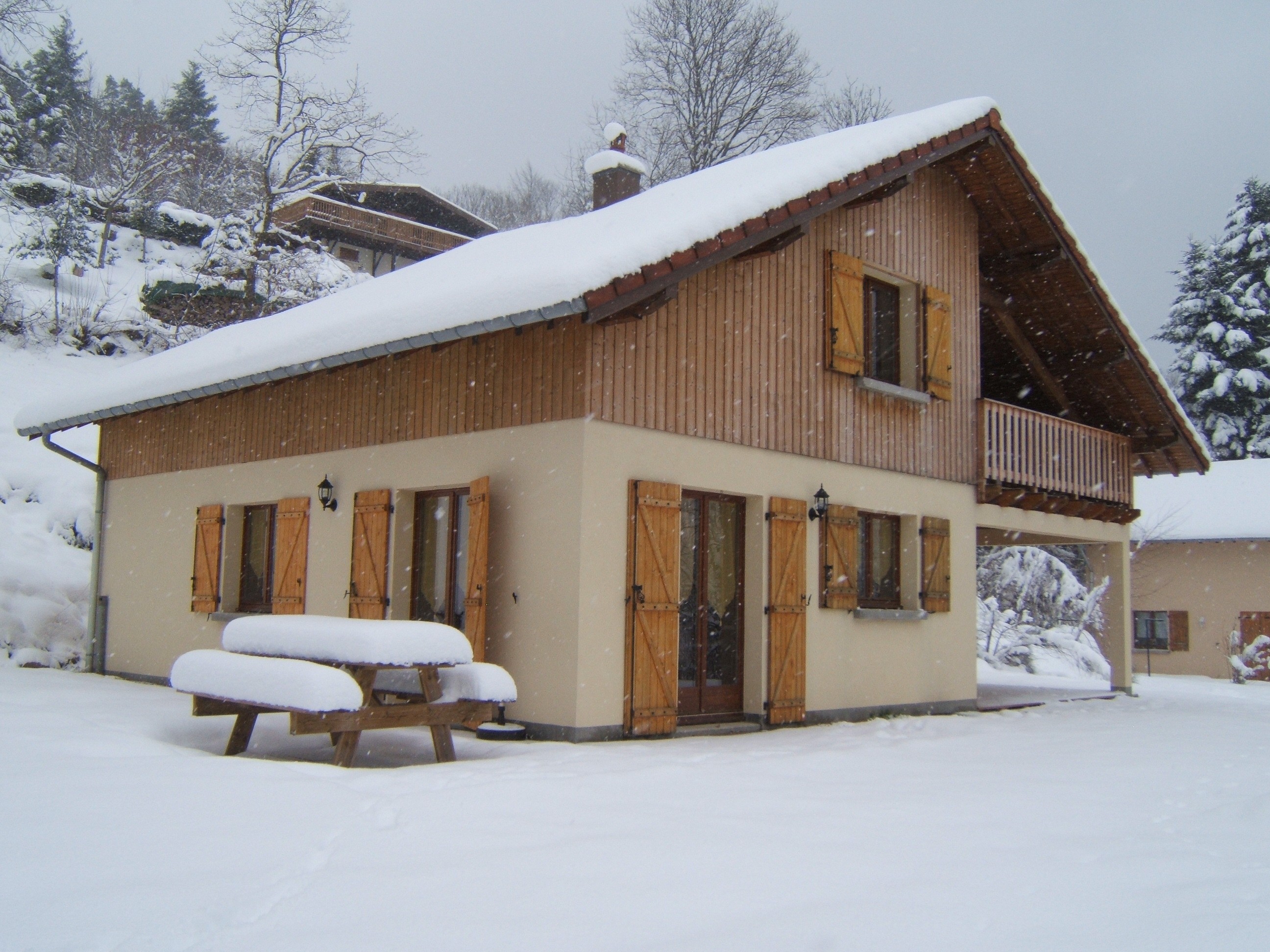 Winter Colours