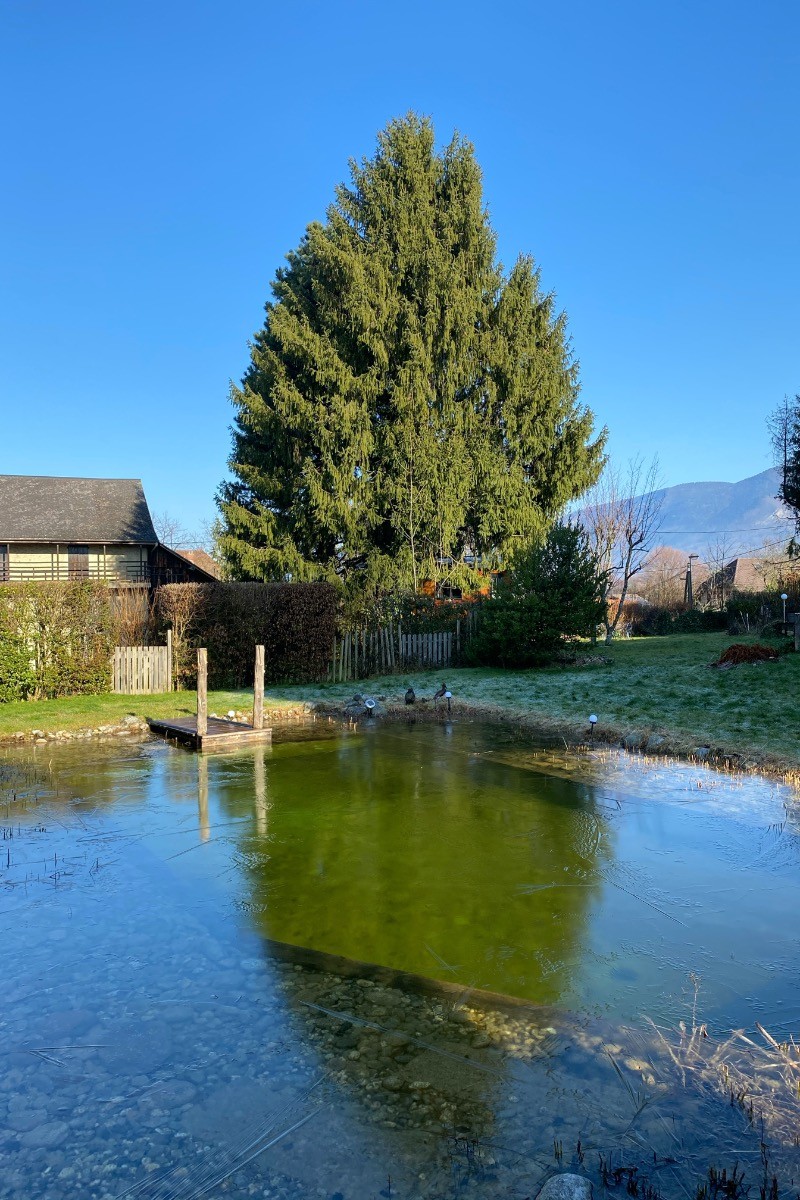 La piscine naturelle se réveille