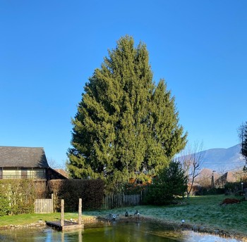 La piscine naturelle se réveille