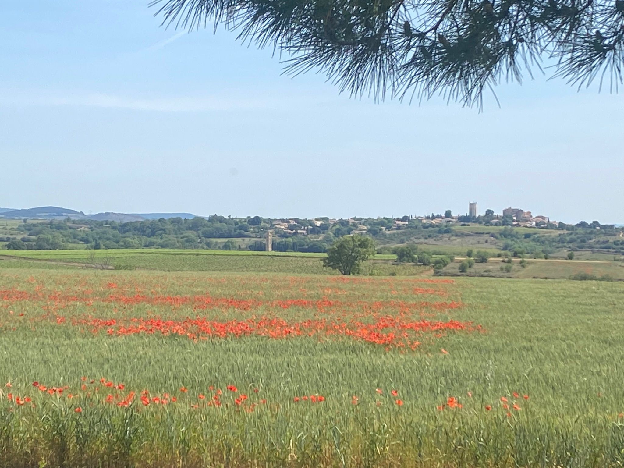 Gîte cosy à Pailhès – Clim, WiFi et escapades entre mer et vignes
