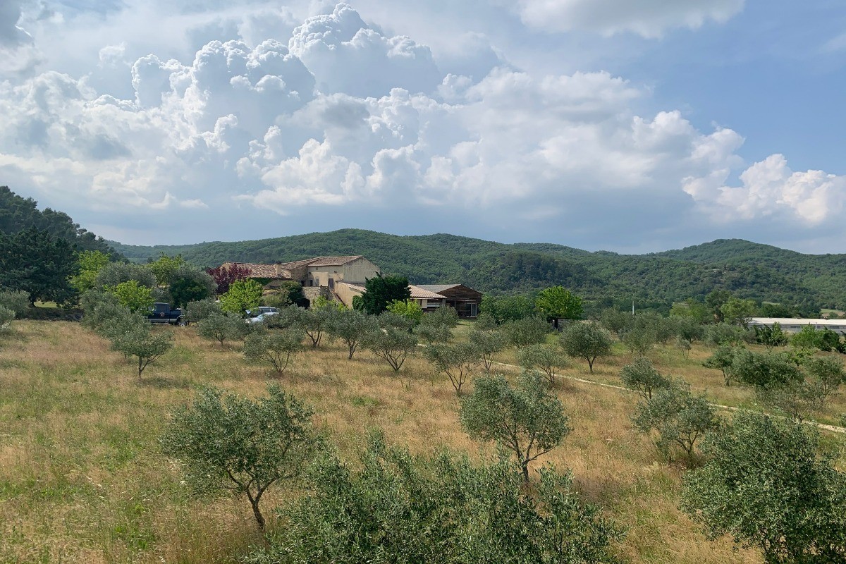 Gîte la Voûte des oliviers - Le domaine
