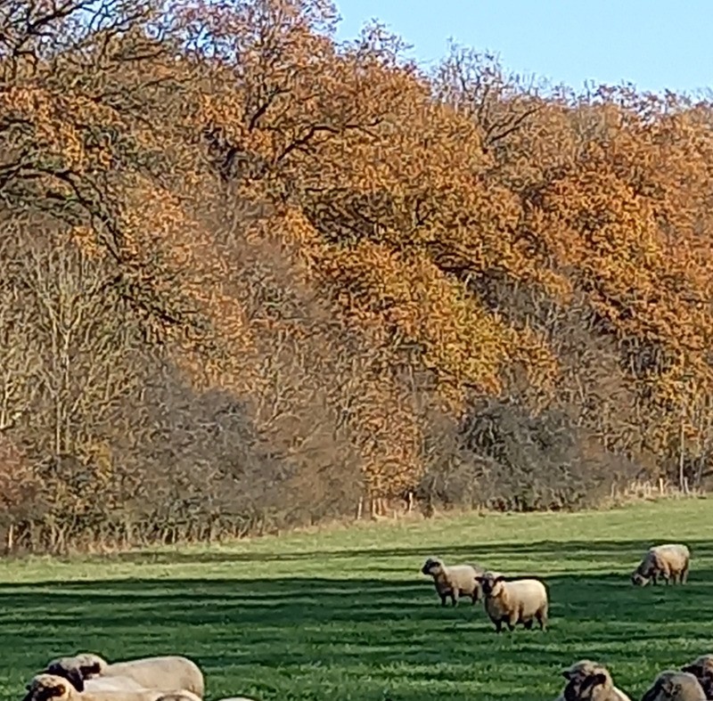 Photo n° 14 of the location