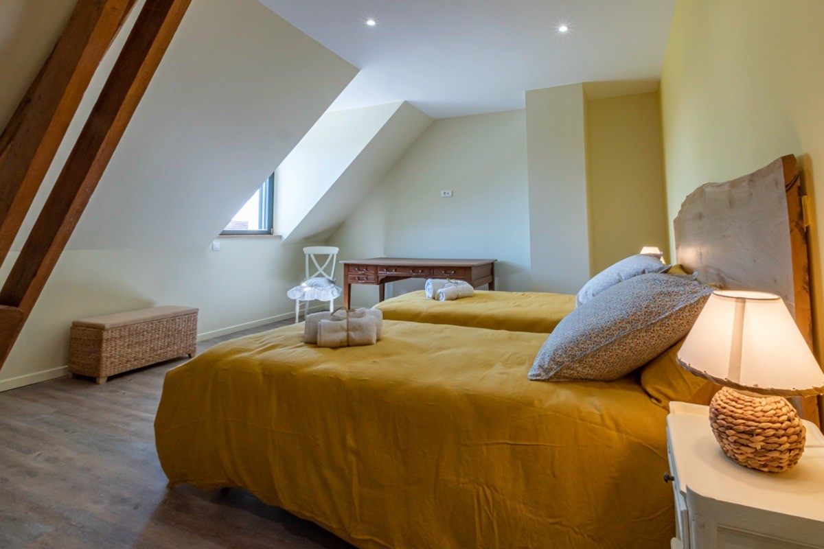 Chambre Juliette lits simples option possible à la réservation au Gite Entre Terres et Vignes à Châtillon sur Morin en Champagne