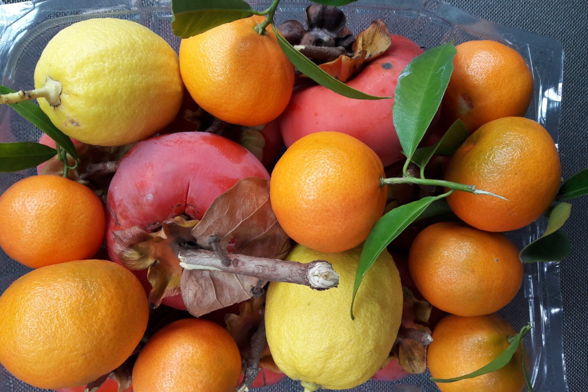 ETE COMME HIVER VENEZ DECOUVRIR NOS FRUITS ET LEGUMES BIO AINSI QUE NOS TRANSFORMATIONS