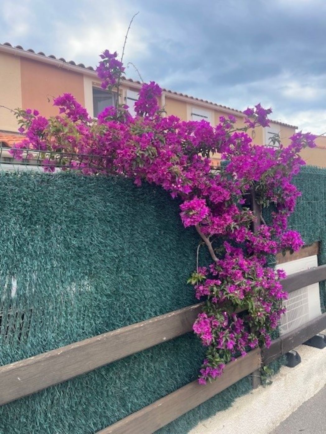 Photo n° 8 de la location