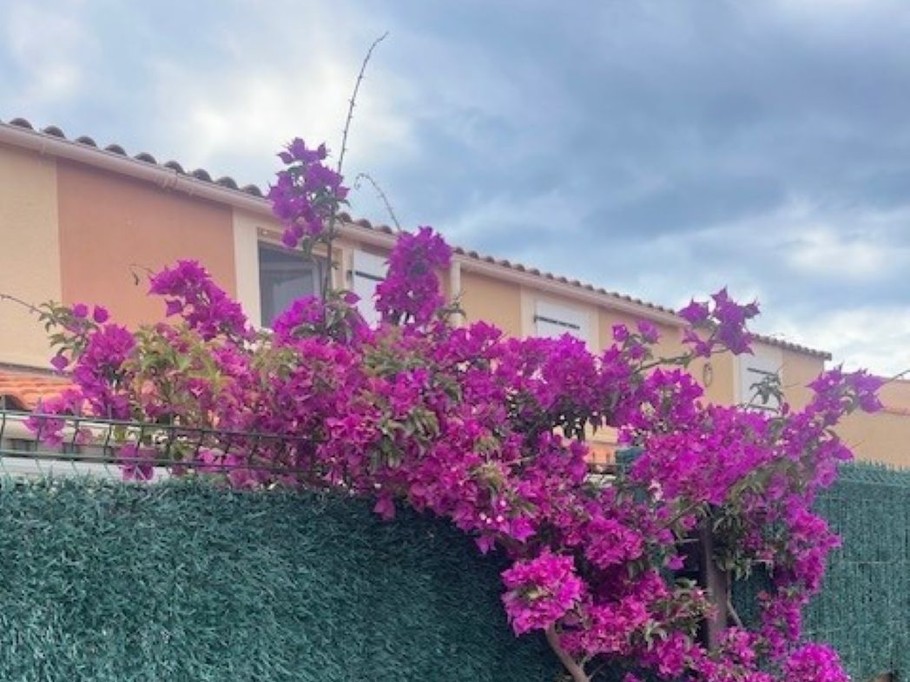 Photo n° 8 de la location