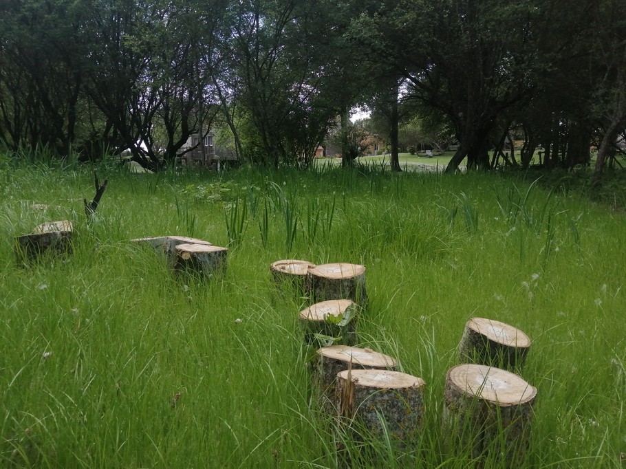 Photo n° 19 de la location