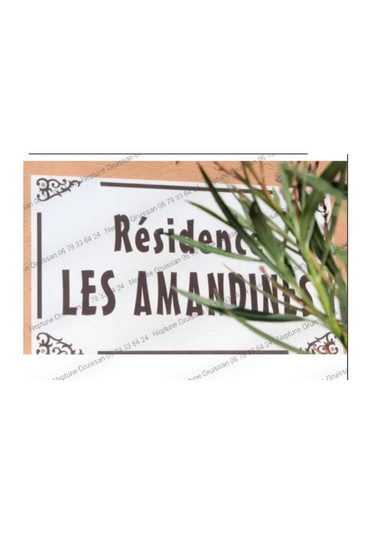 Photo n° 18 de la location