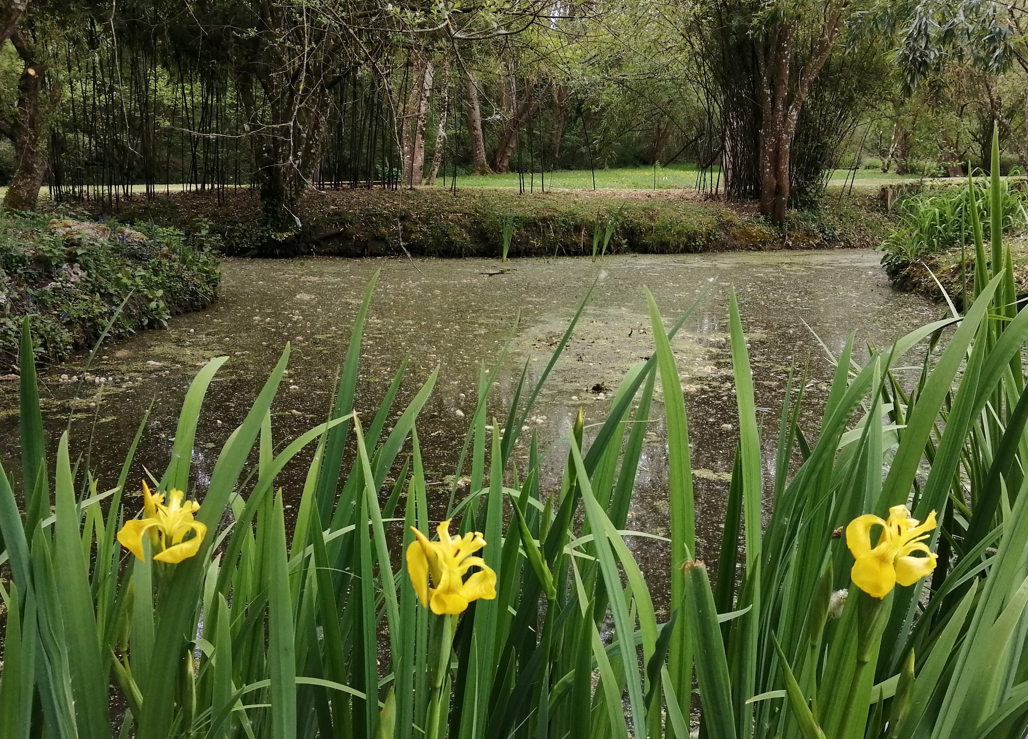 Photo n° 16 de la location