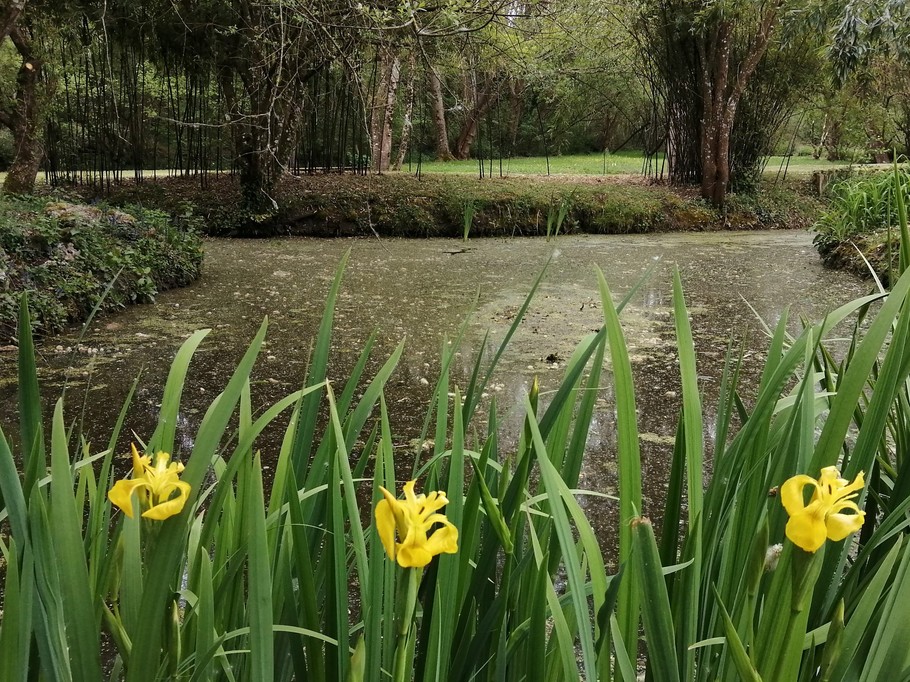 Photo n° 16 de la location