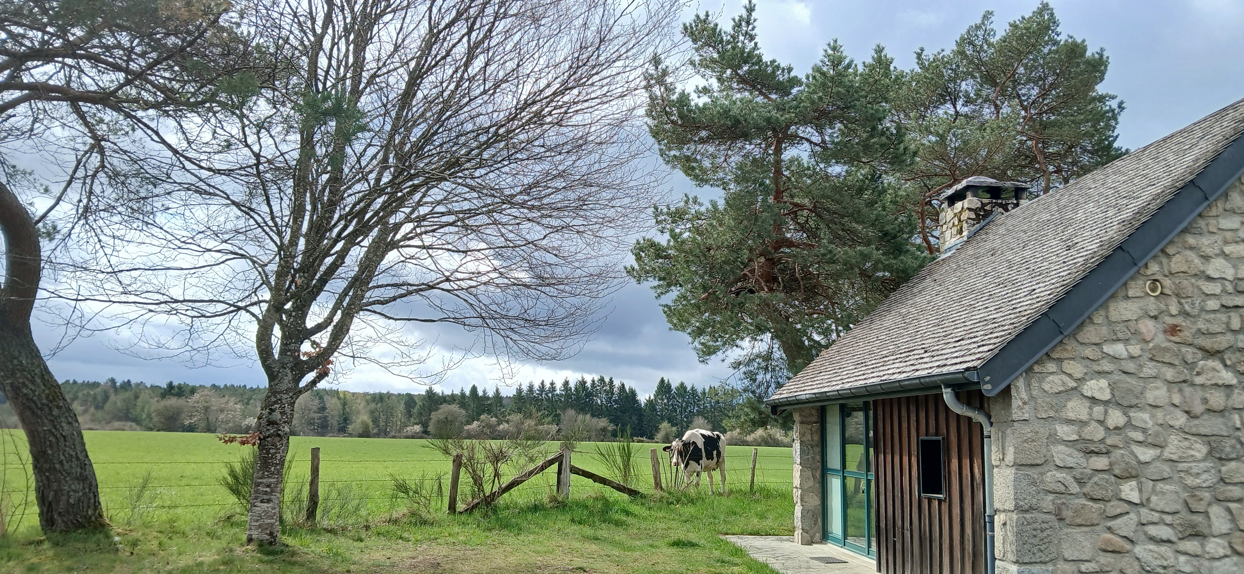 Etang de Farges, Saint Germain près Herment, Chalet vert - Extérieur
