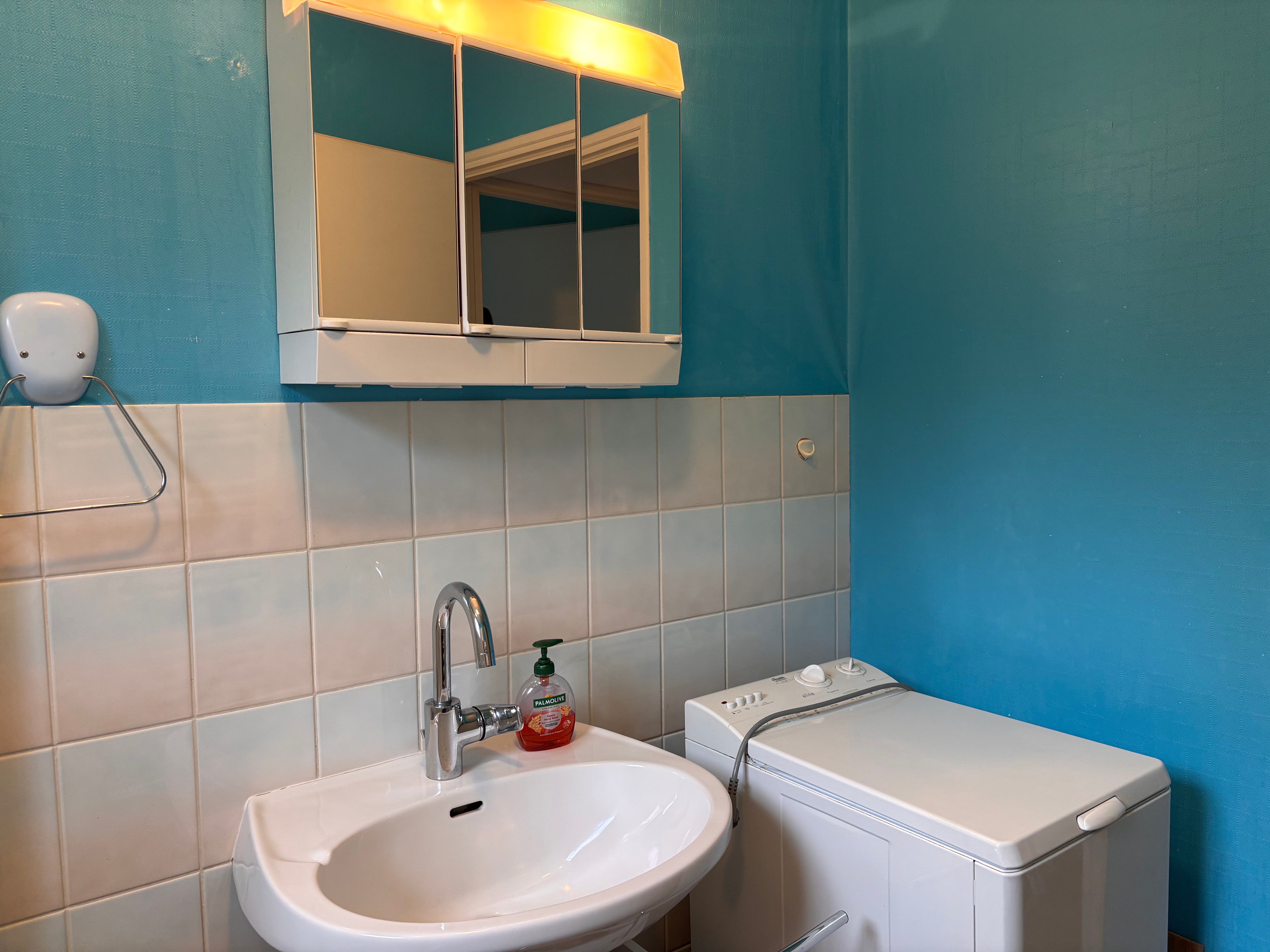 Salle de bain - Appartement au bord du lac, Gérardmer