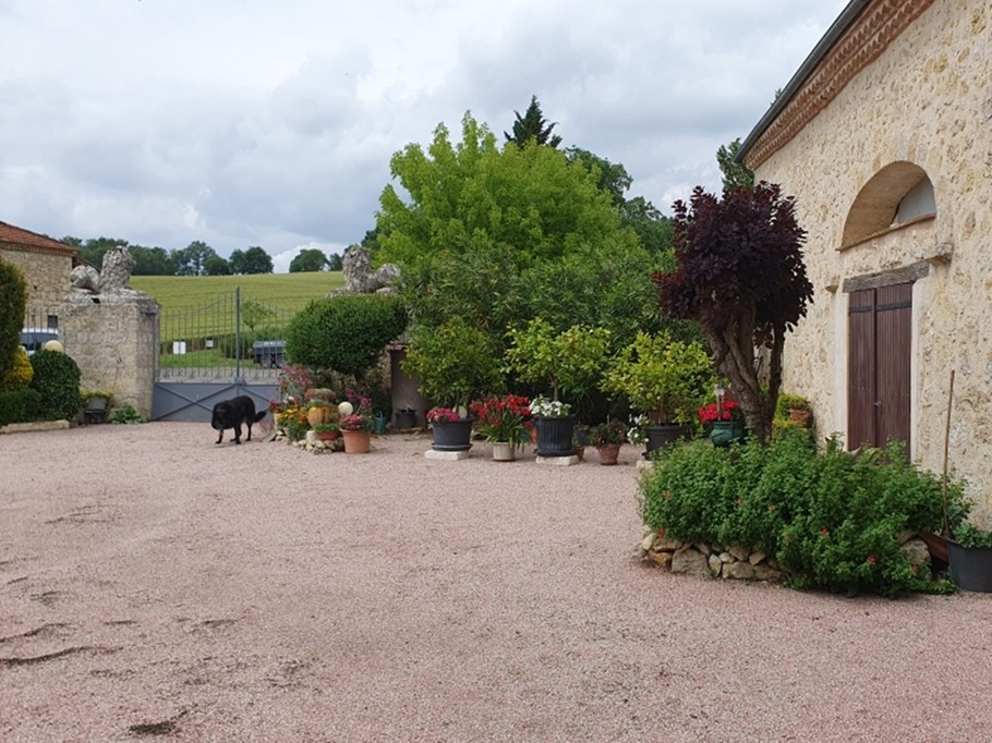 Photo n° 12 of the location