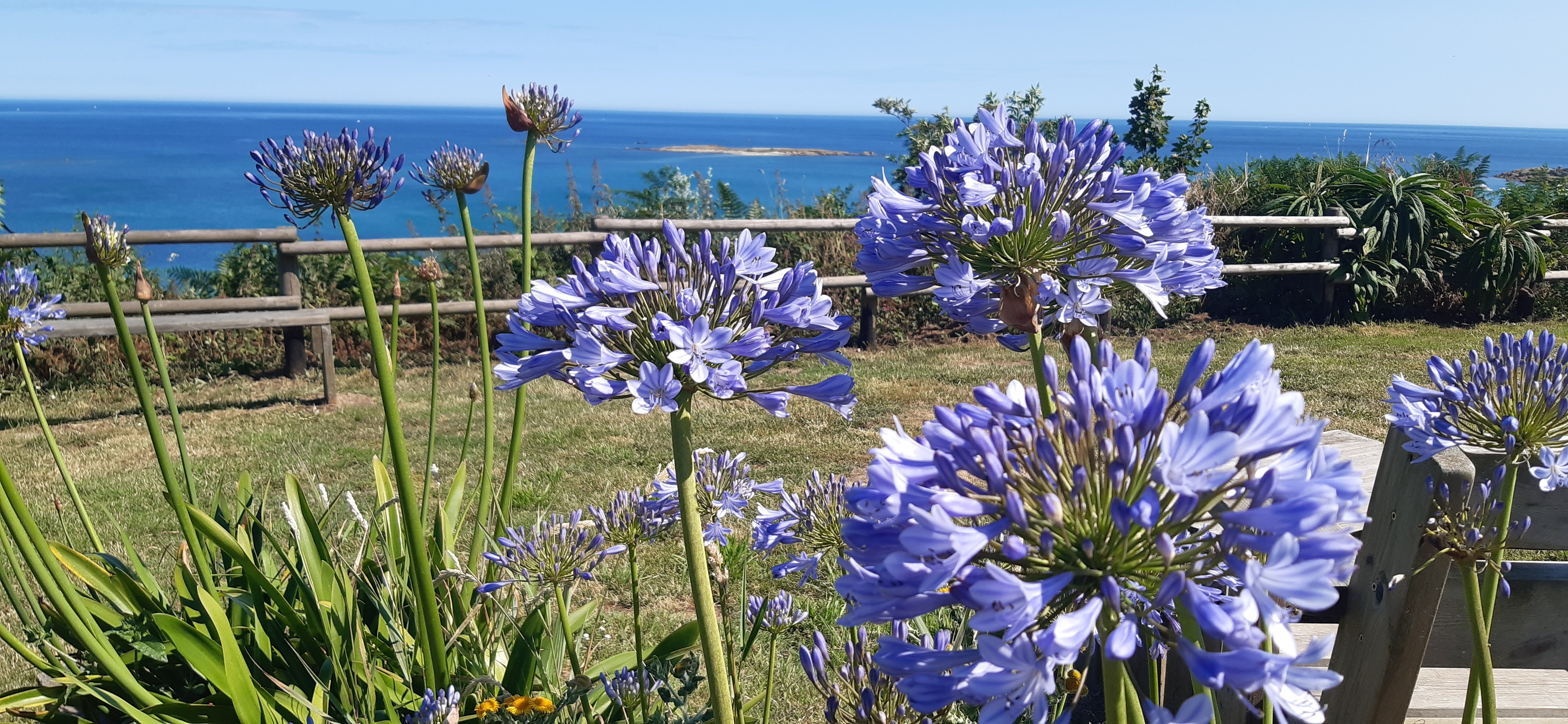 A COUPER LE SOUFFLE