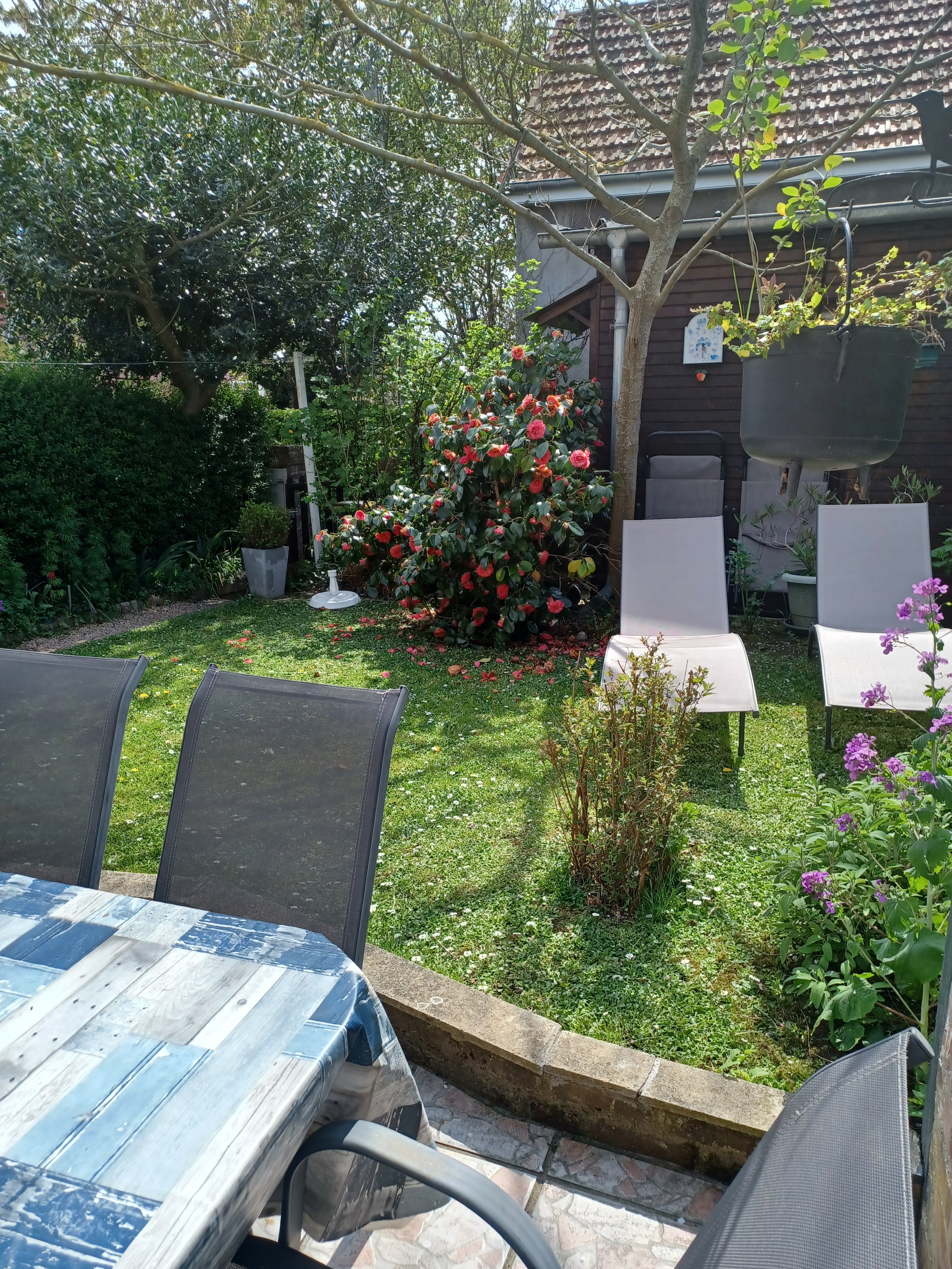 Photo n° 19 de la location