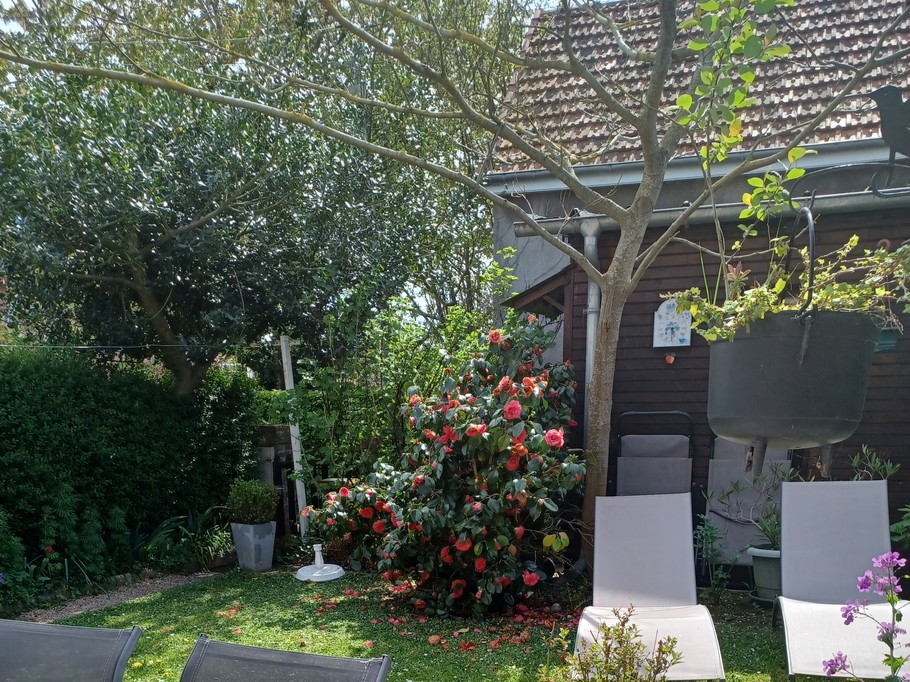 Photo n° 19 de la location