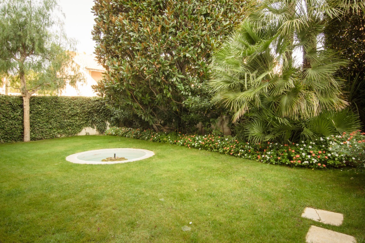 Jardin