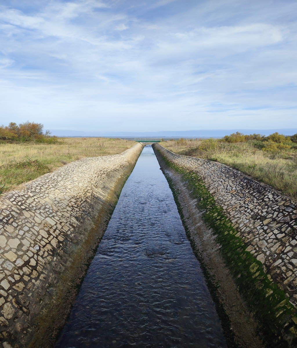 Le "Chemin d'Oléron" au départ de Château d'Oléron