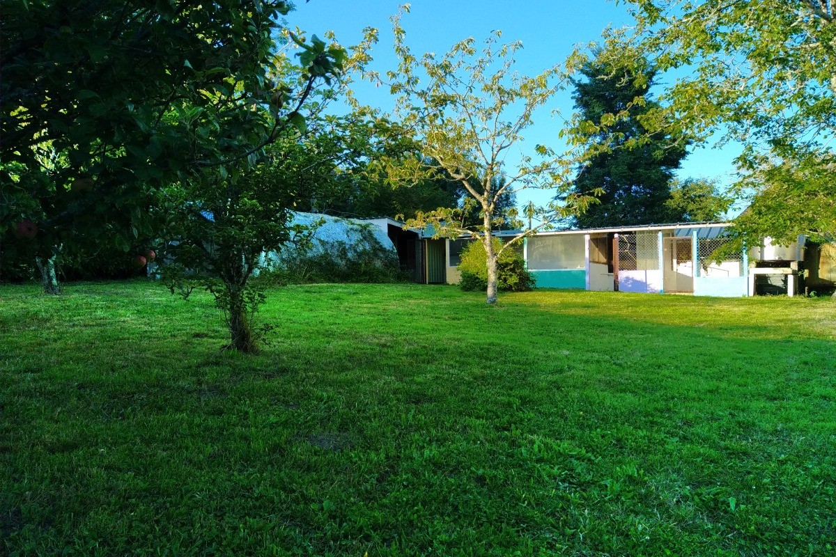 Jardin privatif arrière maison
