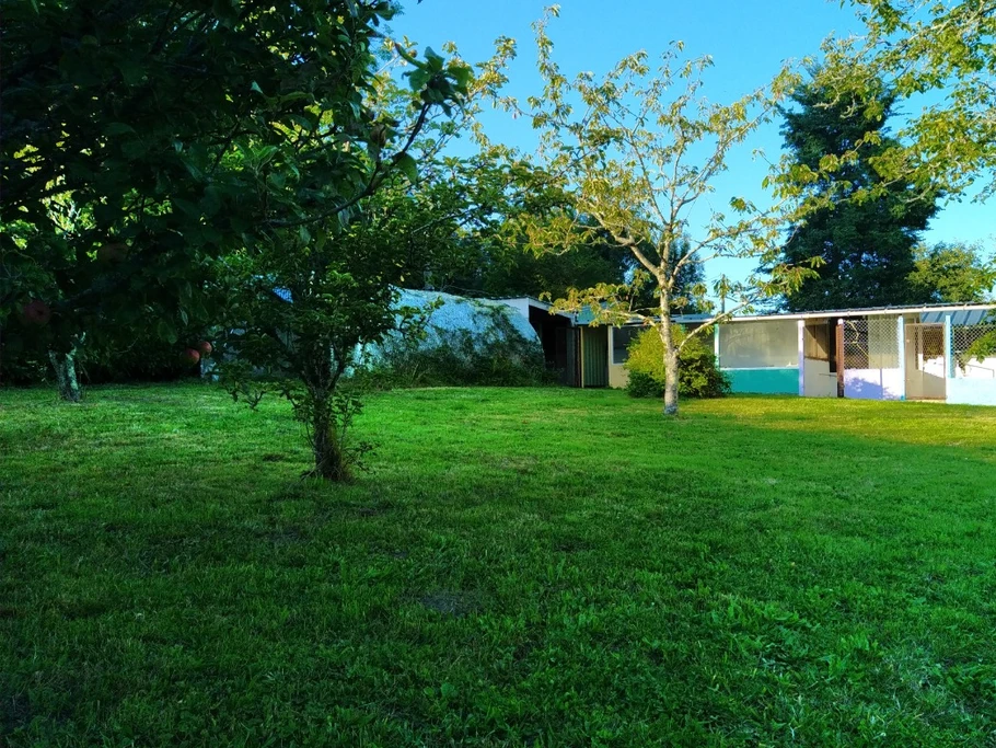 Jardin privatif arrière maison