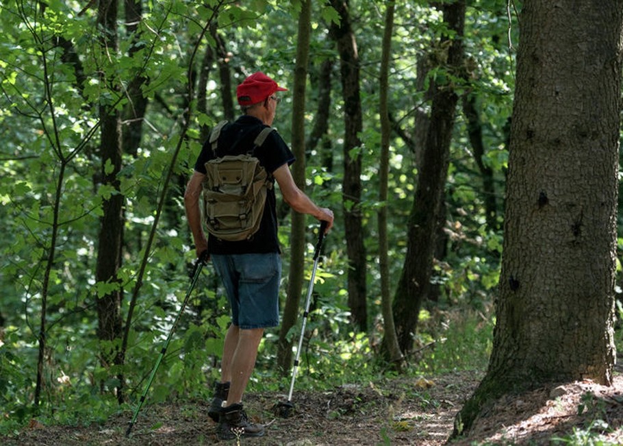 Photo n° 18 de la location