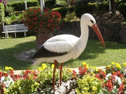 Image n° 5 de la location