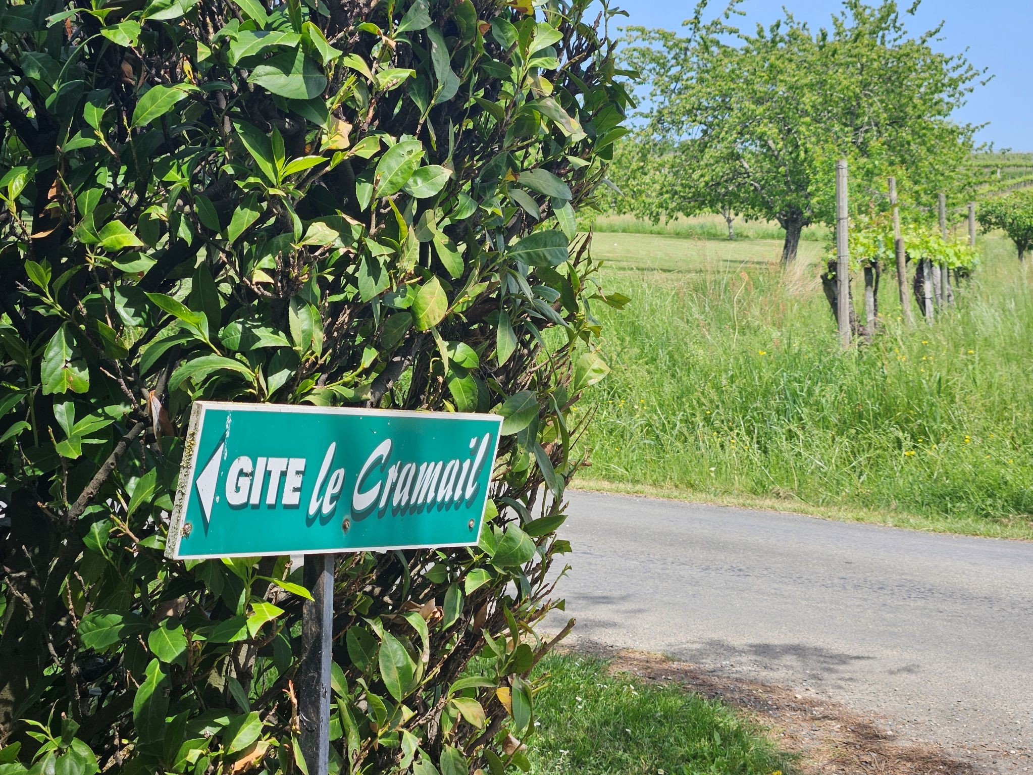 Photo n° 2 de la location