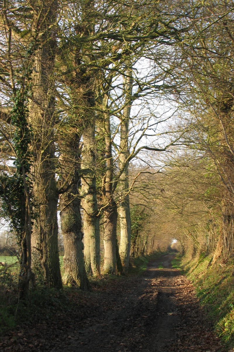 Le sentier qui part du gîte