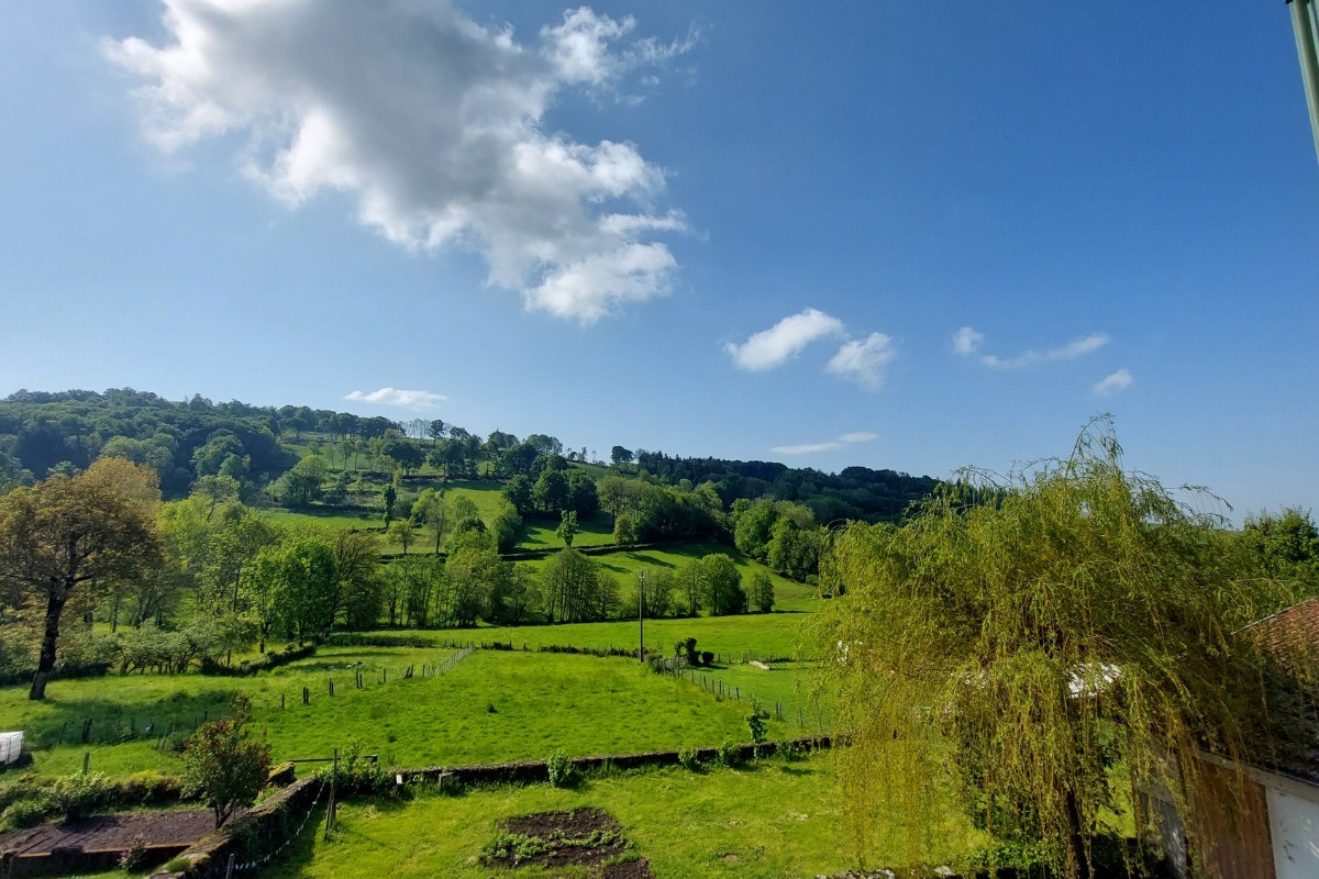 Vue des fenêtres du gîte