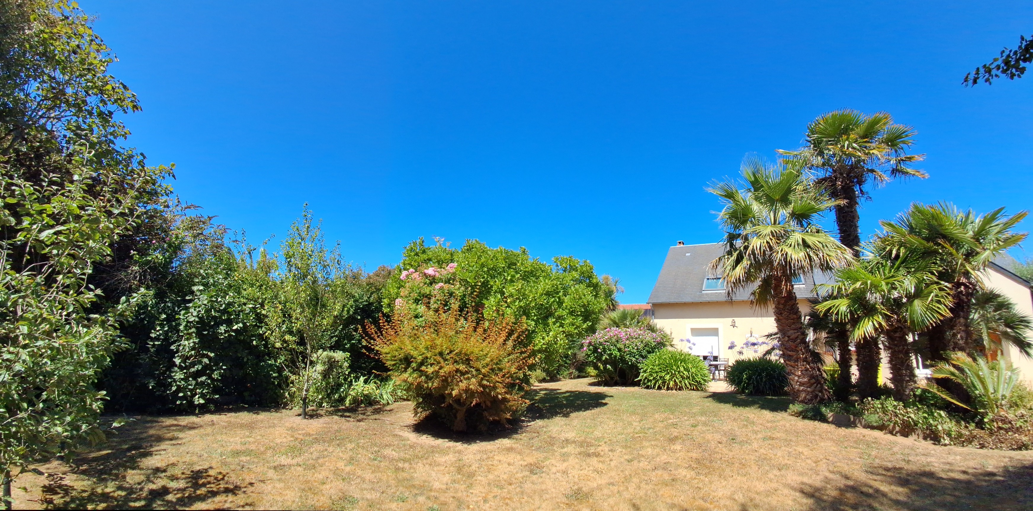 View of the garden