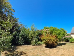 View of the garden